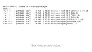 patricia@dev:~/../data$
total 64
-rw-r--r-- 1 patricia
-rw-r--r-- 1 patricia
-rw-r--r-- 1 patricia
-rw-r--r-- 1 patricia
-rw-r--r-- 1 patricia
-rw-r--r-- 1 patricia
-rw-r--r-- 1 patricia

ls -lh mykeyspace/mycf
staff
staff
staff
staff
staff
staff
staff

43B
79K
16B
36B
4.3K
80B
79B

Feb
Feb
Feb
Feb
Feb
Feb
Feb

2
2
2
2
2
2
2

15:31
15:31
15:31
15:31
15:31
15:31
15:31

mykeyspace-mycf-jb-1-CompressionInfo.db
mykeyspace-mycf-jb-1-Data.db
mykeyspace-mycf-jb-1-Filter.db
mykeyspace-mycf-jb-1-Index.db
mykeyspace-mycf-jb-1-Statistics.db
mykeyspace-mycf-jb-1-Summary.db
mykeyspace-mycf-jb-1-TOC.txt

Examining sstable output

 