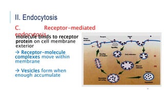 II. Endocytosis
11
C. Receptor-mediated
endocytosismolecule binds to receptor
protein on cell membrane
exterior
 Receptor-molecule
complexes move within
membrane
 Vesicles form when
enough accumulate
 