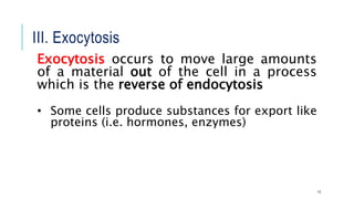 III. Exocytosis
13
Exocytosis occurs to move large amounts
of a material out of the cell in a process
which is the reverse of endocytosis
• Some cells produce substances for export like
proteins (i.e. hormones, enzymes)
 