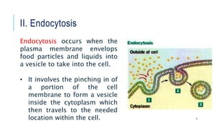 II. Endocytosis
6
Endocytosis occurs when the
plasma membrane envelops
food particles and liquids into
a vesicle to take into the cell.
• It involves the pinching in of
a portion of the cell
membrane to form a vesicle
inside the cytoplasm which
then travels to the needed
location within the cell.
 
