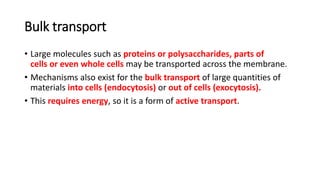 Bulk transport.pptx