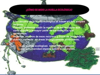 ¿CÓMO SE MIDE LA HUELLA ECOLÓGICA?Los cálculos de la huella ecológica se basan en dos simples factores:Primero, podemos medir la mayoría de los recursos que consumimos y la mayor parte de los desechos que generamos.Segundo, muchos de esos recursos y flujos de desechos se pueden convertir  en áreas biológicamente productivas.Las huellas ecológicas  miden las exigencias que la humanidad impone sobre la naturaleza.