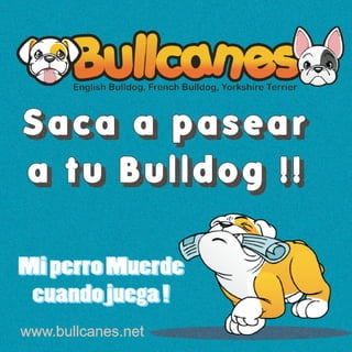 Saca a pasear
a tu Bulldog !!
www.bullcanes.net
MiperroMuerde
cuandojuega!
MiperroMuerde
cuandojuega!
 
