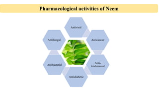 Antiviral
Anticancer
Anti-
leishmanial
Antidiabetic
Antibacterial
Antifungal
Pharmacological activities of Neem
 