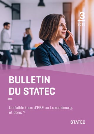 Un faible taux d’EBE au Luxembourg,
et donc ?
3
—
2018
BULLETIN
DU ST TEC
–
 