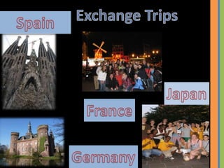 More understanding of your first language