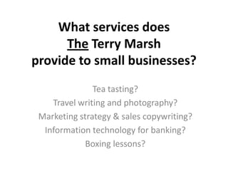 What services does
      The Terry Marsh
provide to small businesses?
               Tea tasting?
    Travel writing and photography?
 Marketing strategy & sales copywriting?
  Information technology for banking?
             Boxing lessons?
 