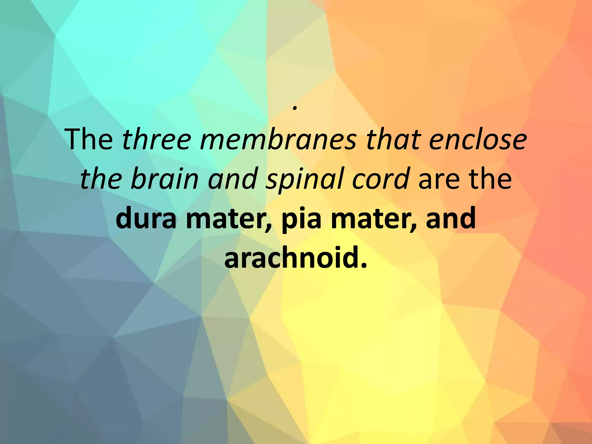 .
The three membranes that enclose
the brain and spinal cord are the
dura mater, pia mater, and
arachnoid.
 