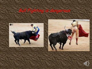 Bull Fighting is dangerous
 