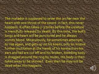 The matador is supposed to sever the archer near the
heart with one thrust of the sword in fact, this never
happens. It often takes 2-3 times before the creature
is mercifully released by death .By this time, the bull’s
lungs and heart will be punctured and he always
vomits blood. Miraculously, he sometimes attempts
to rise again, and gets up on his knees, only to receive
further mutilation at the hands of his tormentors his
ears and tail are cut off and his broken, bleeding body
is dragged around the ring by mules, His body is then
taken away to be skinned. Even then he may not be
dead when this happens.
 