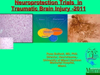 Neuroprotection Trials  in Traumatic Brain Injury -2011 Ross Bullock, MD, PhD. Director, Neurotrauma,- University of Miami /Jackson Memorial Hospital, Miami. 