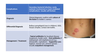 Bullous Process Bullous disease (1) MEDICINE SLIDE FOR HEALTH CARE | PPTX