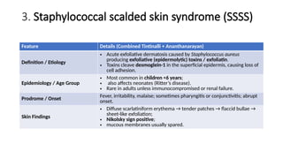 Cleaved Skin Bullous disease (1) MEDICINE SLIDE FOR HEALTH CARE | PPTX