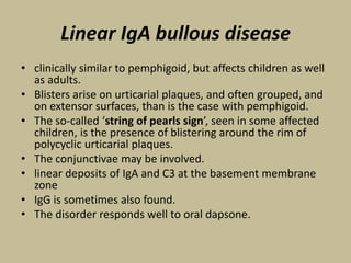 Linear IgA bullous disease
• clinically similar to pemphigoid, but affects children as well
as adults.
• Blisters arise on urticarial plaques, and often grouped, and
on extensor surfaces, than is the case with pemphigoid.
• The so-called ‘string of pearls sign’, seen in some affected
children, is the presence of blistering around the rim of
polycyclic urticarial plaques.
• The conjunctivae may be involved.
• linear deposits of IgA and C3 at the basement membrane
zone
• IgG is sometimes also found.
• The disorder responds well to oral dapsone.
 
