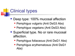 Clinical types
 Deep type: 100% mucosal affection
 Pemphigus vulgaris (Anti DsG3 Abs)
 Pemphigus vegetans (Anti DsG3 Abs)
 Superficial type. No or rare mucosal
affection.
 Pemphigus foliaceous (Anti DsG1 Abs)
 Pemphigus erythematosus (Anti DsG1
Abs)
 
