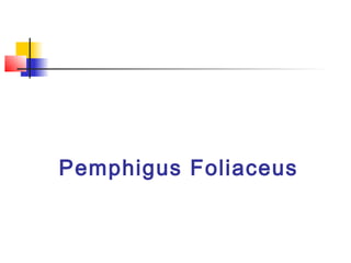 Pemphigus Foliaceus
 