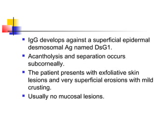  IgG develops against a superficial epidermal
desmosomal Ag named DsG1.
 Acantholysis and separation occurs
subcorneally.
 The patient presents with exfoliative skin
lesions and very superficial erosions with mild
crusting.
 Usually no mucosal lesions.
 