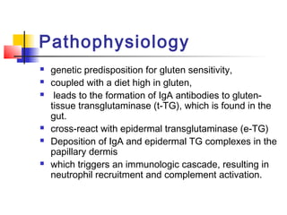 Pathophysiology
 genetic predisposition for gluten sensitivity,
 coupled with a diet high in gluten,
 leads to the formation of IgA antibodies to gluten-
tissue transglutaminase (t-TG), which is found in the
gut.
 cross-react with epidermal transglutaminase (e-TG)
 Deposition of IgA and epidermal TG complexes in the
papillary dermis
 which triggers an immunologic cascade, resulting in
neutrophil recruitment and complement activation.
 