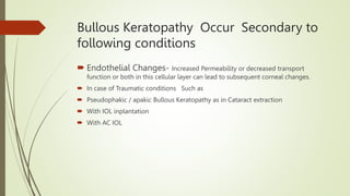 Bullous Process Bullous Keratopathy 1.pptx