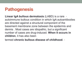 Pathogenesis
•
Linear IgA bullous dermatosis (LABD) is a rare
autoimmune bullous condition in which IgA autoantibodies
are directed against a structural component of the
basement membrane zone between the epidermis and
dermis . Most cases are idiopathic, but a significant
number of cases are drug-induced. When it occurs in
children, it has also been
•
termed chronic bullous disease of childhood.
 