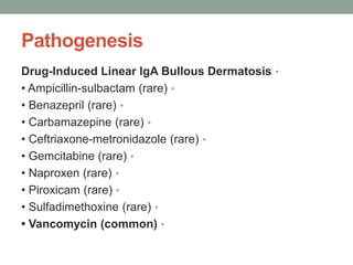Pathogenesis
•
Drug-Induced Linear IgA Bullous Dermatosis
•
• Ampicillin-sulbactam (rare)
•
• Benazepril (rare)
•
• Carbamazepine (rare)
•
• Ceftriaxone-metronidazole (rare)
•
• Gemcitabine (rare)
•
• Naproxen (rare)
•
• Piroxicam (rare)
•
• Sulfadimethoxine (rare)
•
• Vancomycin (common)
 