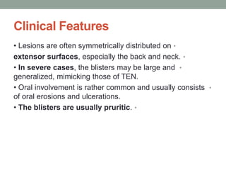 Clinical Features
•
• Lesions are often symmetrically distributed on
•
extensor surfaces, especially the back and neck.
•
• In severe cases, the blisters may be large and
generalized, mimicking those of TEN.
•
• Oral involvement is rather common and usually consists
of oral erosions and ulcerations.
•
• The blisters are usually pruritic.
 