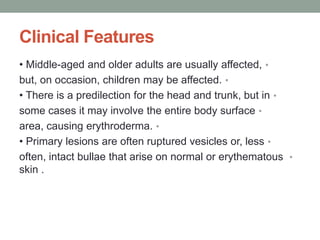 Clinical Features
•
• Middle-aged and older adults are usually affected,
•
but, on occasion, children may be affected.
•
• There is a predilection for the head and trunk, but in
•
some cases it may involve the entire body surface
•
area, causing erythroderma.
•
• Primary lesions are often ruptured vesicles or, less
•
often, intact bullae that arise on normal or erythematous
skin .
 