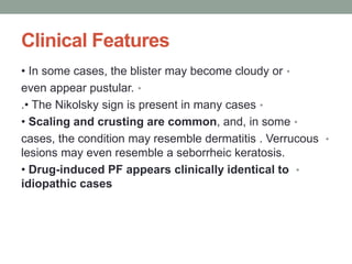 Clinical Features
•
• In some cases, the blister may become cloudy or
•
even appear pustular.
•
• The Nikolsky sign is present in many cases
.
•
• Scaling and crusting are common, and, in some
•
cases, the condition may resemble dermatitis . Verrucous
lesions may even resemble a seborrheic keratosis.
•
• Drug-induced PF appears clinically identical to
idiopathic cases
 