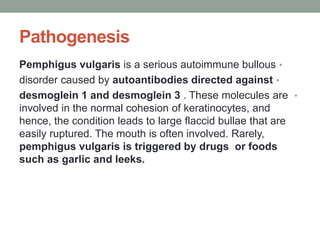 Pathogenesis
•
Pemphigus vulgaris is a serious autoimmune bullous
•
disorder caused by autoantibodies directed against
•
desmoglein 1 and desmoglein 3 . These molecules are
involved in the normal cohesion of keratinocytes, and
hence, the condition leads to large flaccid bullae that are
easily ruptured. The mouth is often involved. Rarely,
pemphigus vulgaris is triggered by drugs or foods
such as garlic and leeks.
 