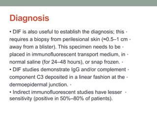 Diagnosis
•
• DIF is also useful to establish the diagnosis; this
•
requires a biopsy from perilesional skin (≈0.5–1 cm
•
away from a blister). This specimen needs to be
•
placed in immunofluorescent transport medium, in
•
normal saline (for 24–48 hours), or snap frozen.
•
• DIF studies demonstrate IgG and/or complement
•
component C3 deposited in a linear fashion at the
•
dermoepidermal junction.
•
• Indirect immunofluorescent studies have lesser
sensitivity (positive in 50%–80% of patients).
 