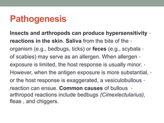 Pathogenesis
•
Insects and arthropods can produce hypersensitivity
•
reactions in the skin. Saliva from the bite of the
•
organism (e.g., bedbugs, ticks) or feces (e.g., scybala
•
of scabies) may serve as an allergen. When allergen
•
exposure is limited, the host response is usually minor.
•
However, when the antigen exposure is more substantial,
•
or the host response is exaggerated, a vesiculobullous
•
reaction can ensue. Common causes of bullous
arthropod reactions include bedbugs (Cimexlectularius),
fleas , and chiggers.
 