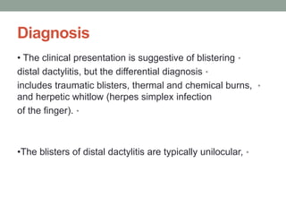 Diagnosis
•
• The clinical presentation is suggestive of blistering
•
distal dactylitis, but the differential diagnosis
•
includes traumatic blisters, thermal and chemical burns,
and herpetic whitlow (herpes simplex infection
•
of the finger).
•
•The blisters of distal dactylitis are typically unilocular,
 