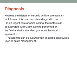 Diagnosis
•
whereas the blisters of herpetic whitlow are usually
•
multilocular; this is an important diagnostic clue.
•
• In an urgent care or office setting, the blisters can
•
be aspirated, with Gram staining performed on
•
the fluid and with abundant gram-positive cocci
•
apparent.
•
• The aspirate can be cultured with antibiotic sensitivities
used to guide management.
 