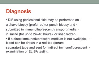 Diagnosis
•
• DIF using perilesional skin may be performed on
•
a shave biopsy (preferred) or punch biopsy and
•
submitted in immunofluorescent transport media,
•
in saline (for up to 24–48 hours), or snap frozen.
•
• If a direct immunofluorescent medium is not available,
blood can be drawn in a red-top (serum
•
separator) tube and sent for indirect immunofluorescent
examination or ELISA testing.
 