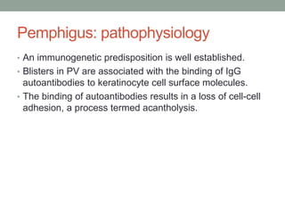 Pemphigus: pathophysiology
• An immunogenetic predisposition is well established.
• Blisters in PV are associated with the binding of IgG
autoantibodies to keratinocyte cell surface molecules.
• The binding of autoantibodies results in a loss of cell-cell
adhesion, a process termed acantholysis.
 