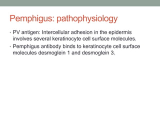 Pemphigus: pathophysiology
• PV antigen: Intercellular adhesion in the epidermis
involves several keratinocyte cell surface molecules.
• Pemphigus antibody binds to keratinocyte cell surface
molecules desmoglein 1 and desmoglein 3.
 