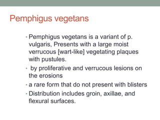 Pemphigus vegetans
• Pemphigus vegetans is a variant of p.
vulgaris, Presents with a large moist
verrucous [wart-like] vegetating plaques
with pustules.
• by proliferative and verrucous lesions on
the erosions
• a rare form that do not present with blisters
• Distribution includes groin, axillae, and
flexural surfaces.
 