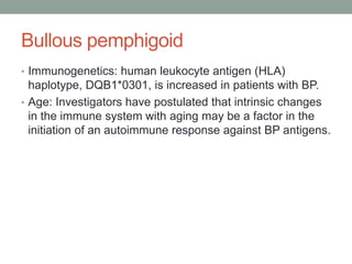 Bullous pemphigoid
• Immunogenetics: human leukocyte antigen (HLA)
haplotype, DQB1*0301, is increased in patients with BP.
• Age: Investigators have postulated that intrinsic changes
in the immune system with aging may be a factor in the
initiation of an autoimmune response against BP antigens.
 