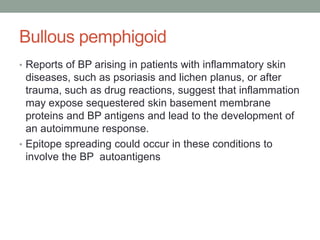 Bullous pemphigoid
• Reports of BP arising in patients with inflammatory skin
diseases, such as psoriasis and lichen planus, or after
trauma, such as drug reactions, suggest that inflammation
may expose sequestered skin basement membrane
proteins and BP antigens and lead to the development of
an autoimmune response.
• Epitope spreading could occur in these conditions to
involve the BP autoantigens
 