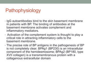 Pathophysiology
• IgG autoantibodies bind to the skin basement membrane
in patients with BP. The binding of antibodies at the
basement membrane activates complement and
inflammatory mediators.
• Activation of the complement system is thought to play a
critical role in attracting inflammatory cells to the
basement membrane.
• The precise role of BP antigens in the pathogenesis of BP
is not completely clear. BPAg1 (BP230) is an intracellular
component of the hemidesmosome; BPAg2 (BP180, type
XVII collagen) is a transmembranous protein with a
collagenous extracellular domain
 