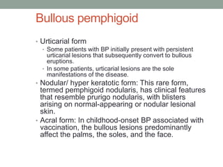 Bullous pemphigoid
• Urticarial form
• Some patients with BP initially present with persistent
urticarial lesions that subsequently convert to bullous
eruptions.
• In some patients, urticarial lesions are the sole
manifestations of the disease.
• Nodular/ hyper keratotic form: This rare form,
termed pemphigoid nodularis, has clinical features
that resemble prurigo nodularis, with blisters
arising on normal-appearing or nodular lesional
skin.
• Acral form: In childhood-onset BP associated with
vaccination, the bullous lesions predominantly
affect the palms, the soles, and the face.
 