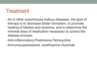 Treatment
• As in other autoimmune bullous diseases, the goal of
therapy is to decrease blister formation, to promote
healing of blisters and erosions, and to determine the
minimal dose of medication necessary to control the
disease process.
• Anti-inflammatory:Prednisone;Tetracycline
• Immunosuppressants: azathioprine,rituzimab
 