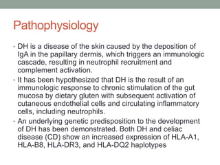 Pathophysiology
• DH is a disease of the skin caused by the deposition of
IgA in the papillary dermis, which triggers an immunologic
cascade, resulting in neutrophil recruitment and
complement activation.
• It has been hypothesized that DH is the result of an
immunologic response to chronic stimulation of the gut
mucosa by dietary gluten with subsequent activation of
cutaneous endothelial cells and circulating inflammatory
cells, including neutrophils.
• An underlying genetic predisposition to the development
of DH has been demonstrated. Both DH and celiac
disease (CD) show an increased expression of HLA-A1,
HLA-B8, HLA-DR3, and HLA-DQ2 haplotypes
 