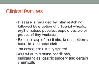Clinical features
• Disease is heralded by intense itching
followed by eruption of urticarial wheals,
erythematous papules, papulo-vesicle or
groups of tiny vesicles
• Extensor asp of the limbs, knees, elbows,
buttocks and natal cleft
• mucosae are usually spared
• Ass wt autoimmune conditions,
malignancies, gastric surgery and certain
chemicals
 