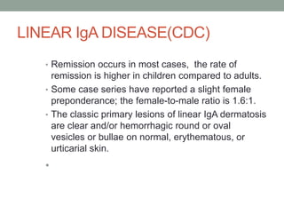 LINEAR IgA DISEASE(CDC)
• Remission occurs in most cases, the rate of
remission is higher in children compared to adults.
• Some case series have reported a slight female
preponderance; the female-to-male ratio is 1.6:1.
• The classic primary lesions of linear IgA dermatosis
are clear and/or hemorrhagic round or oval
vesicles or bullae on normal, erythematous, or
urticarial skin.
•
 