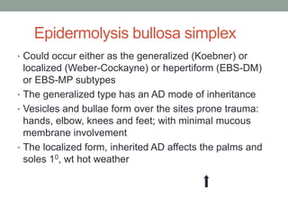 Epidermolysis bullosa simplex
• Could occur either as the generalized (Koebner) or
localized (Weber-Cockayne) or hepertiform (EBS-DM)
or EBS-MP subtypes
• The generalized type has an AD mode of inheritance
• Vesicles and bullae form over the sites prone trauma:
hands, elbow, knees and feet; with minimal mucous
membrane involvement
• The localized form, inherited AD affects the palms and
soles 10, wt hot weather
 