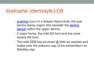 dystrophic (dermolytic) EB
• scarring occur in a deeper tissue level; the sub-
lamina densa region (the beneath the lamina
densa) within the upper dermis.
• 2 major forms: the mild AD form and the more
severe AR form
• The mild DEB has its onset @ birth wt vesicles and
bullae over the extensor asp of the extremities;+ve
Nikolsky sign
 