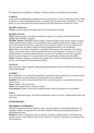 De temperamento equilibrado y obediente. Aunque testarudo, es particularmente amigable.

CABEZA:
Larga, fuerte y profunda hasta la punta del hocico, pero no tosca. Vista de frente debe tener la forma
de un huevo y estar completamente llena; su superficie libre de depresiones o hendiduras. Vista de
perfil, se curva suavemente hacia abajo desde el colmo del cráneo hasta la punta de la nariz.

REGIÓN CRANEAL:
Cráneo: La parte superior del cráneo debe ser casi plana entre las orejas.

REGIÓN FACIAL:
Trufa: Debe ser negra y curvada hacia abajo en la punta. Las ventanas son bien desarrolladas.
Labios: Bien definidos y pegados.
Mordida / Dientes: Mandíbula inferior sólida y vigorosa. Dientes sanos, fuertes, limpios, de buen
tamaño, perfectamente regular con una mordida de tijera completa perfectamente regular, es decir
que la cara interna de los incisivos superiores esté en contacto estrecho con la cara externa de los
incisivos inferiores los dientes siendo colocados perpendicularmente en las mandíbulas.
Ojos: Deben ser estrechos, triangulares y colocados oblicuamente, bien colocados en las órbitas,
negros o tan marrón oscuros como sea posible, de forma tal que parezcan casi negros, y con una
mirada brillante. La distancia desde la punta de la nariz a los ojos debe ser mayor de la que hay
desde los ojos al occipucio. Los ojos de color azul o parcialmente azulados son indeseables.
Orejas: Pequeñas, delgadas y colocadas muy juntas entre sí. El perro deberá poder mantenerlas
erectas y con las puntas directamente hacia arriba.

CUELLO:
Muy musculoso, largo, arqueado, adelgazándose gradualmente desde los hombros hacia la cabeza y
sin presentar papada.

CUERPO:
Bien redondeado, con costillas bien arqueadas, y profundo desde la región de la cruz hasta el pecho,
de tal manera que el último llegue más cerca del suelo que el abdomen.
Espalda: Corta, fuerte; la línea dorsal detrás de la cruz es horizontal y va arqueándose levemente
hacia el lomo.
Lomo: Amplio y bien musculoso.
Pecho: Visto desde el frente, el pecho es ancho.
Línea inferior: Desde el tórax hasta el abdomen debe formar una elegante curva ascendente.

COLA:
Corta, de implantación baja y llevada horizontalmente. Gruesa en la base y adelgazándose hacia una
punta fina.

EXTREMIDADES

MIEMBROS ANTERIORES:
Miembros delanteros de hueso redondo y fuerte, con buen aplomo y perfectamente paralelos. En
ejemplares adultos, la longitud de los miembros delanteros debe ser aproximadamente igual a la
profundidad del tórax.
Hombros: Fuertes y musculosos, pero no pesados. Escápulas amplias, planas y mantenidas muy
pegadas al tórax y bien oblicuas desde la parte inferior a la superior, formando casi un ángulo recto
con el antebrazo.
 