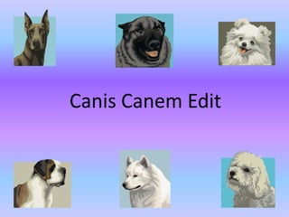 Canis Canem Edit
 