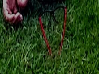 Fotos Discurso Audiovisual